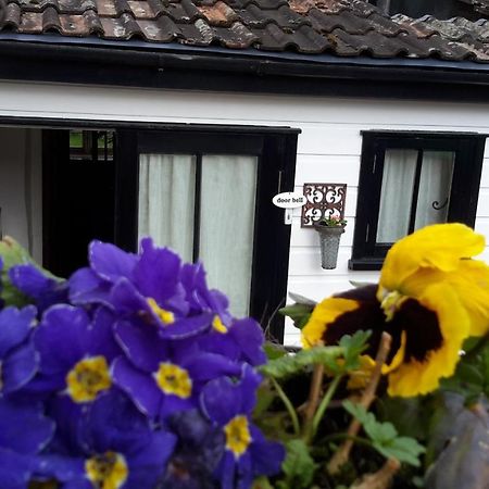 Rose Farm Panzió Honiton Kültér fotó