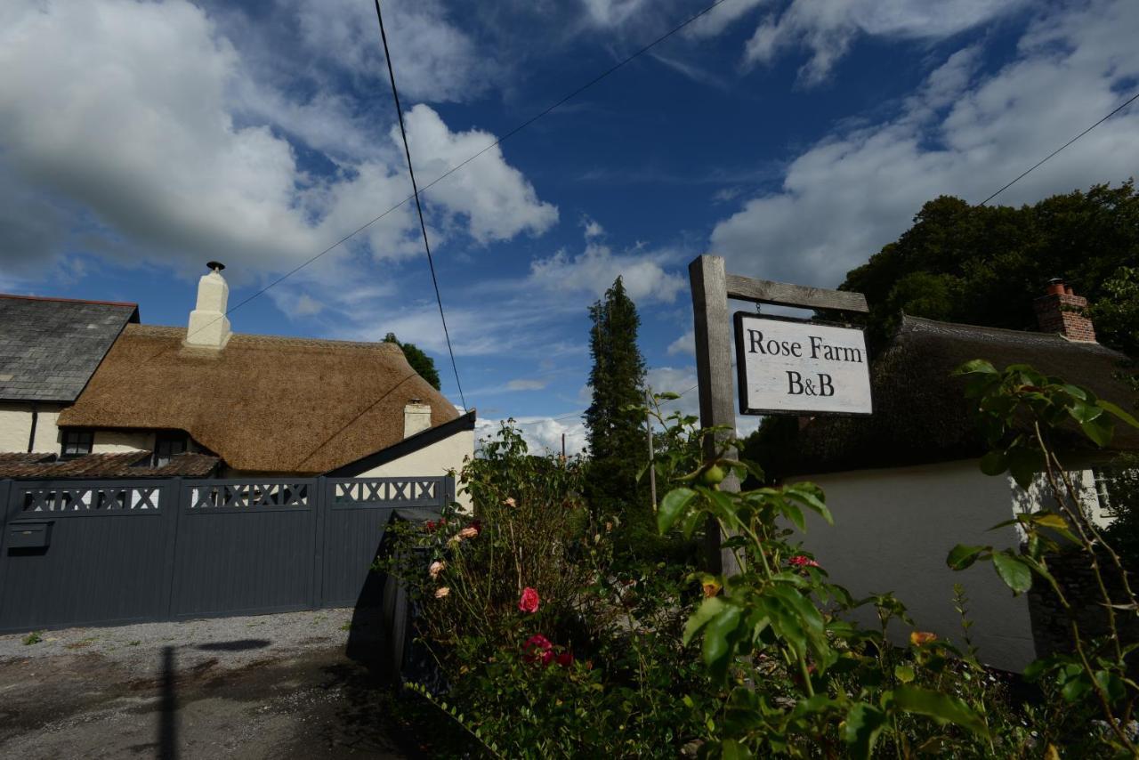 Rose Farm Panzió Honiton Kültér fotó