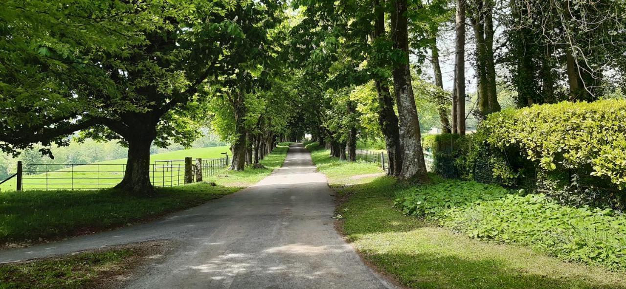 Rose Farm Panzió Honiton Kültér fotó