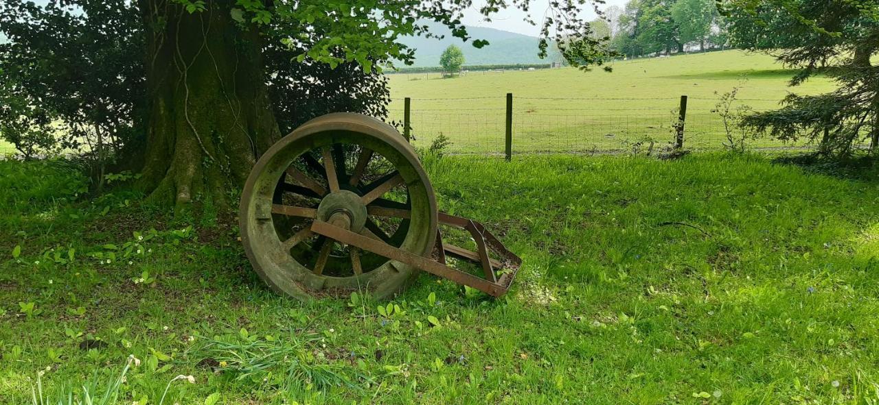 Rose Farm Panzió Honiton Kültér fotó