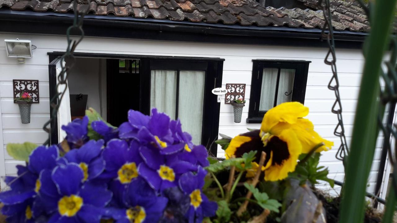 Rose Farm Panzió Honiton Kültér fotó