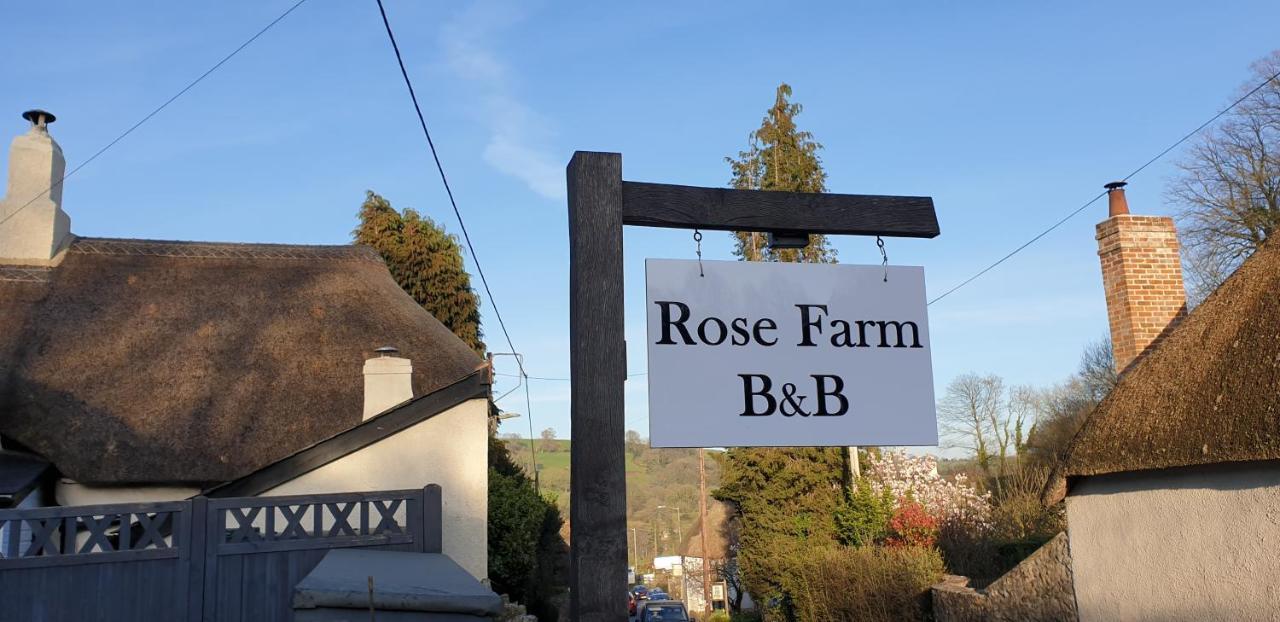 Rose Farm Panzió Honiton Kültér fotó