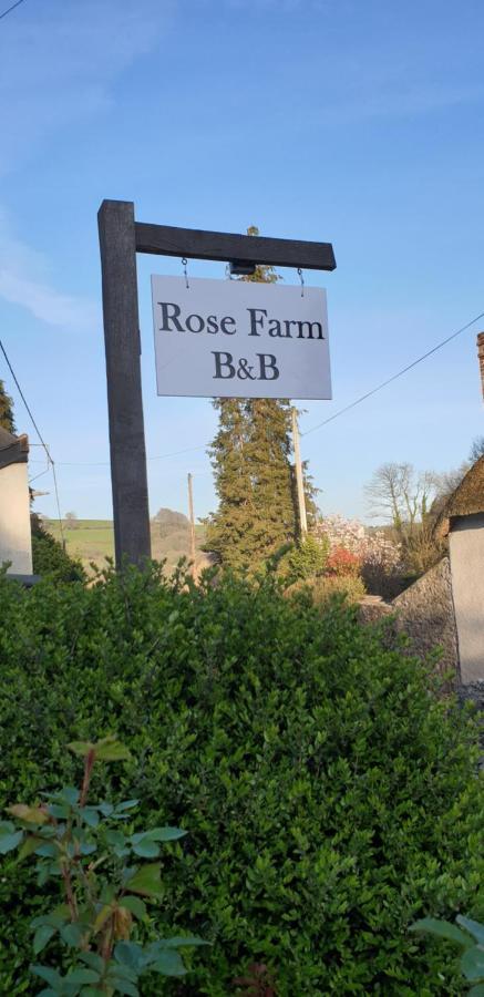 Rose Farm Panzió Honiton Kültér fotó