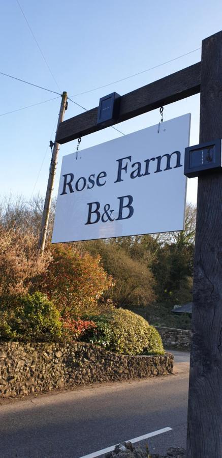Rose Farm Panzió Honiton Kültér fotó