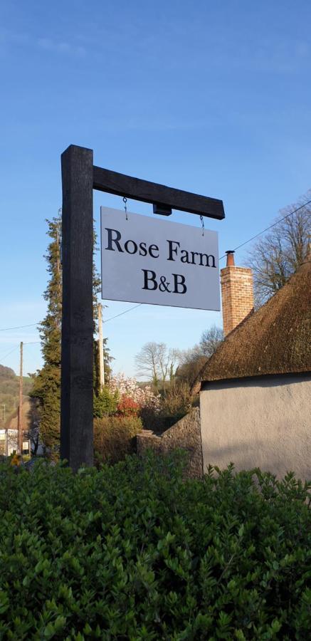 Rose Farm Panzió Honiton Kültér fotó